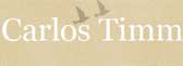 Carlos Timm